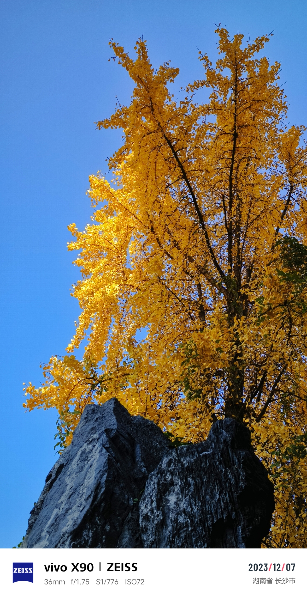 120周年校庆，以及《澄池》另一篇章的开启（图ZMzkzMDcwMTYw） - 书籍/画册 - 站酷设计师Ranko星叶泊原创素材 - 站酷ZCOOL