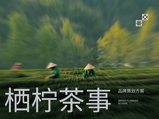 栖柠茶事品牌全案设计 logo设计