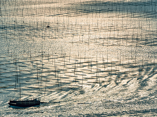 宁德霞浦 | 金黄归途
