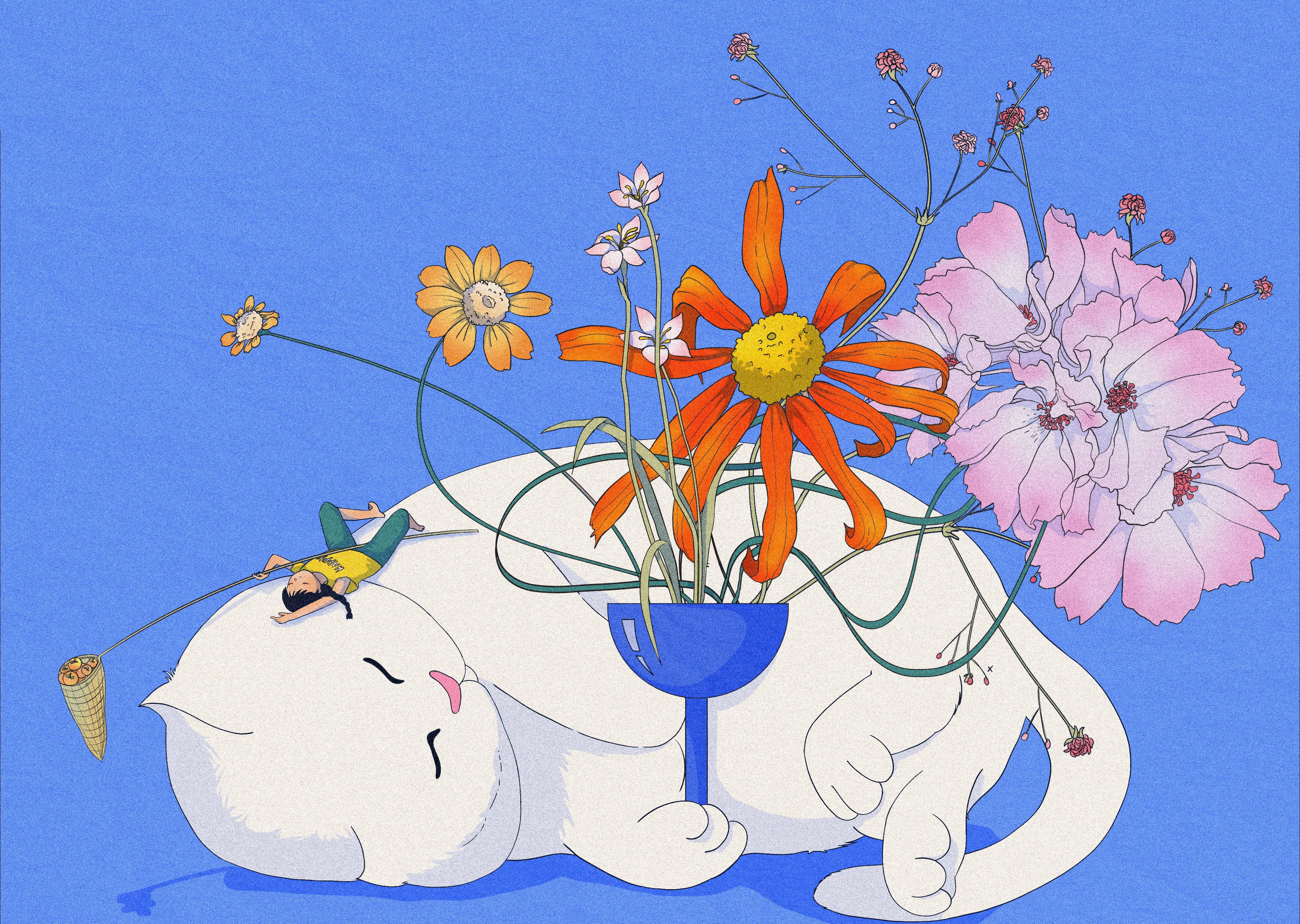 鱼与花花世界