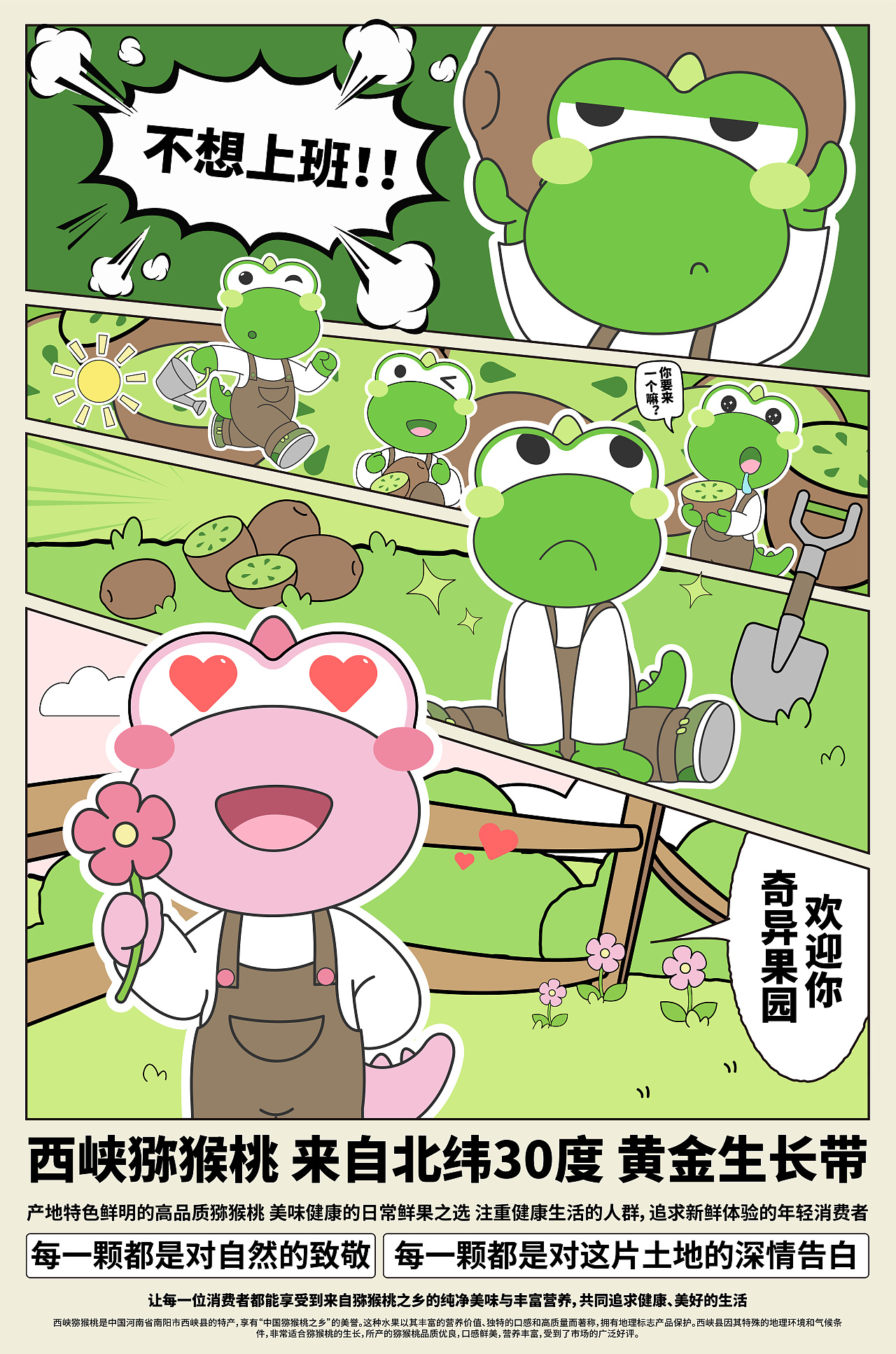 奇异果园——南阳西峡猕猴桃包装设计