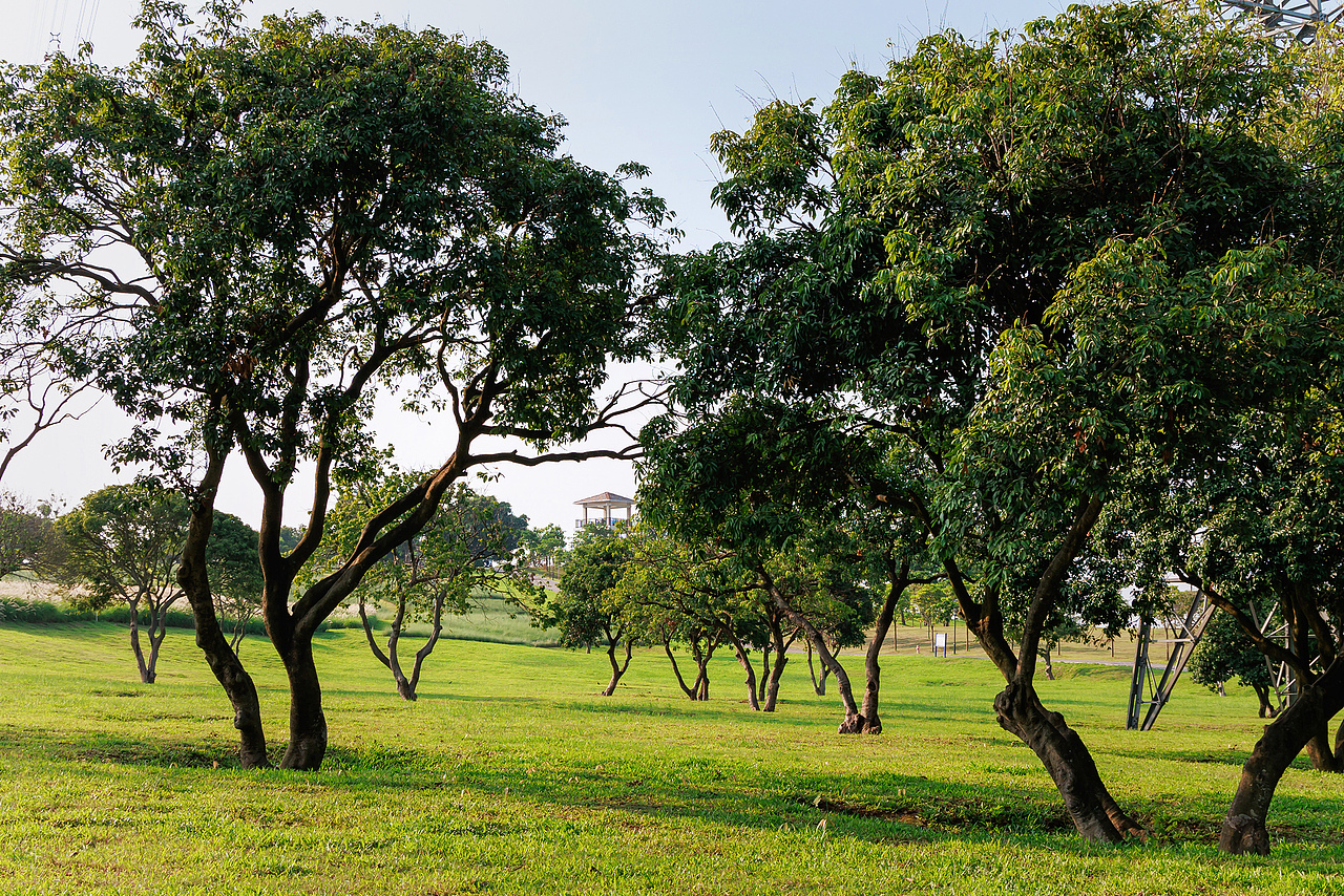 深圳陌上花爱情公园 2025