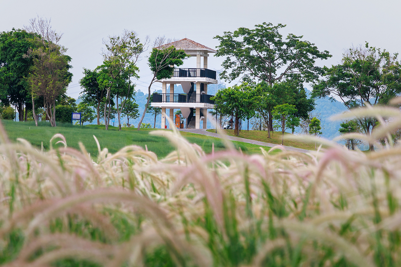 深圳陌上花爱情公园 2025