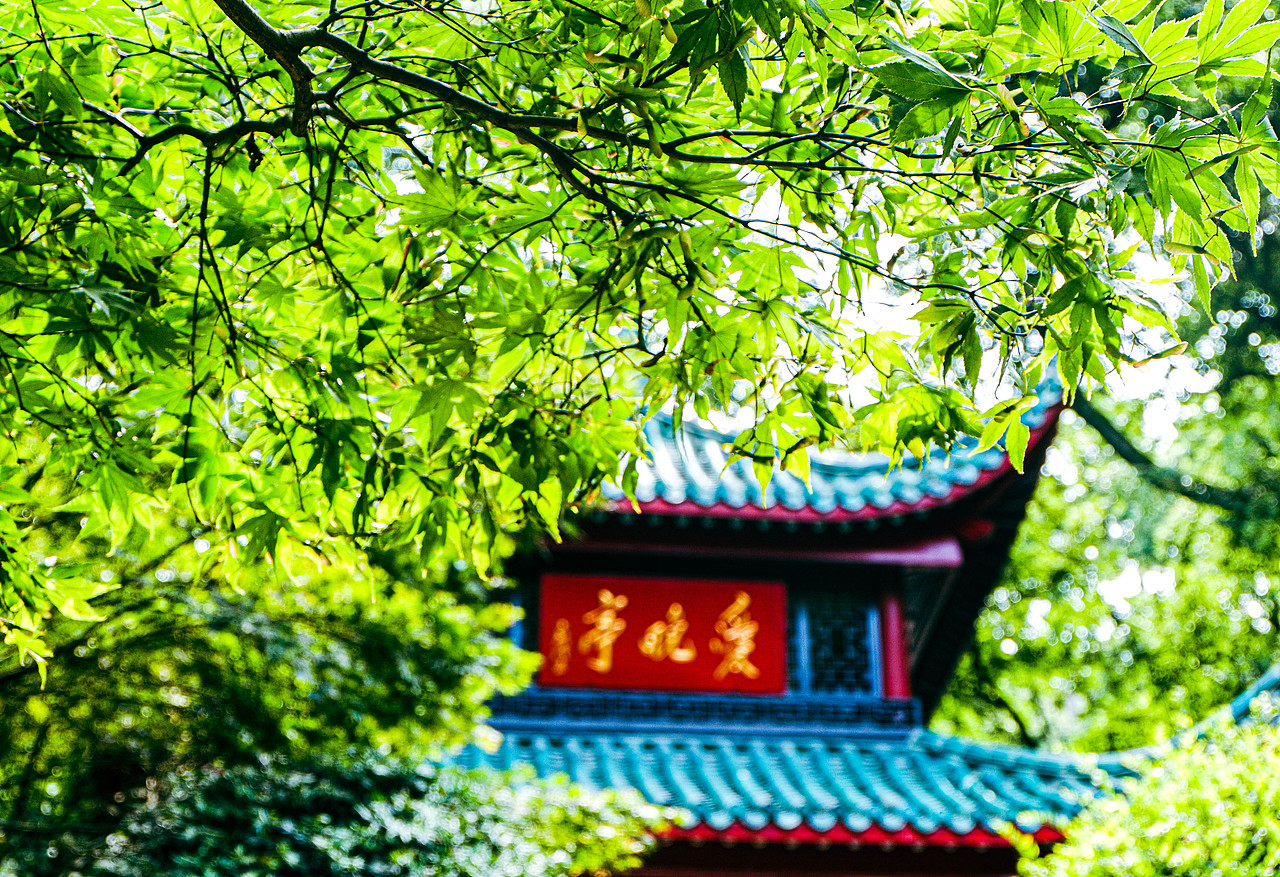 2023年7月外出-第一天长沙行（图ZMzkzMTYzODQ4） - 风光摄影 - 站酷设计师Krystal馨原创素材 - 站酷ZCOOL