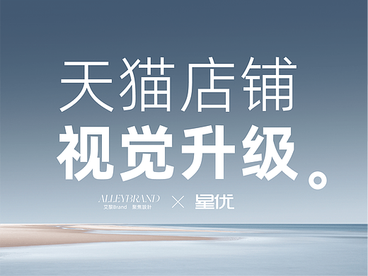 AlleyBrand丨天猫店铺 视觉升级