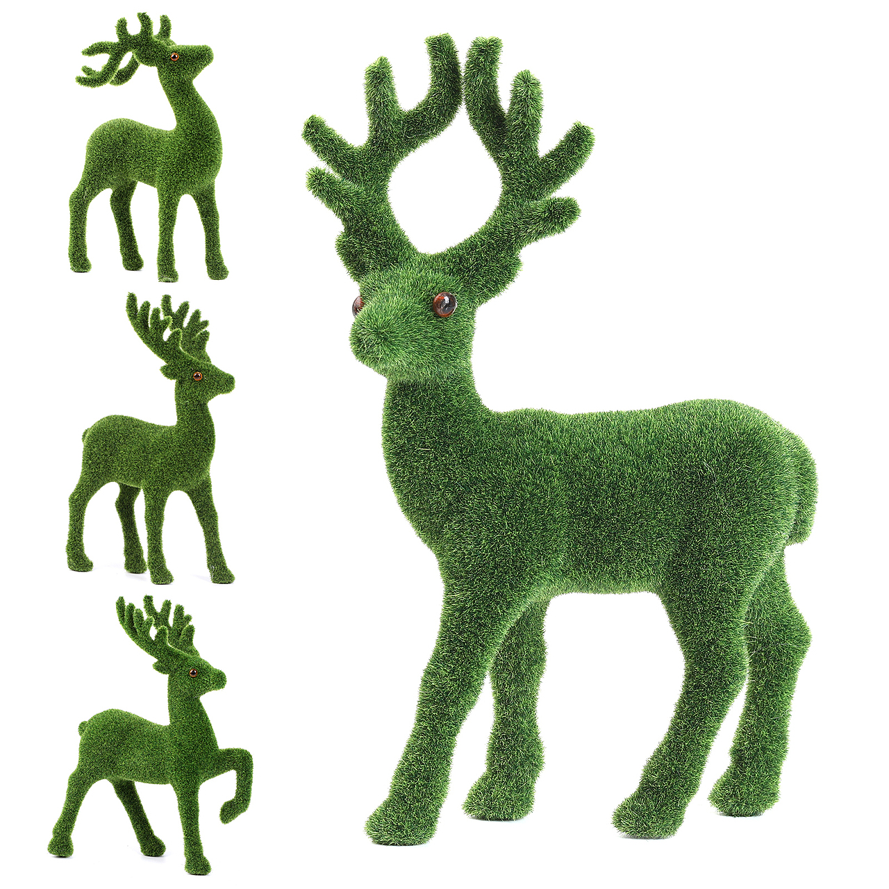 仿真苔藓动物（亚马逊主图）