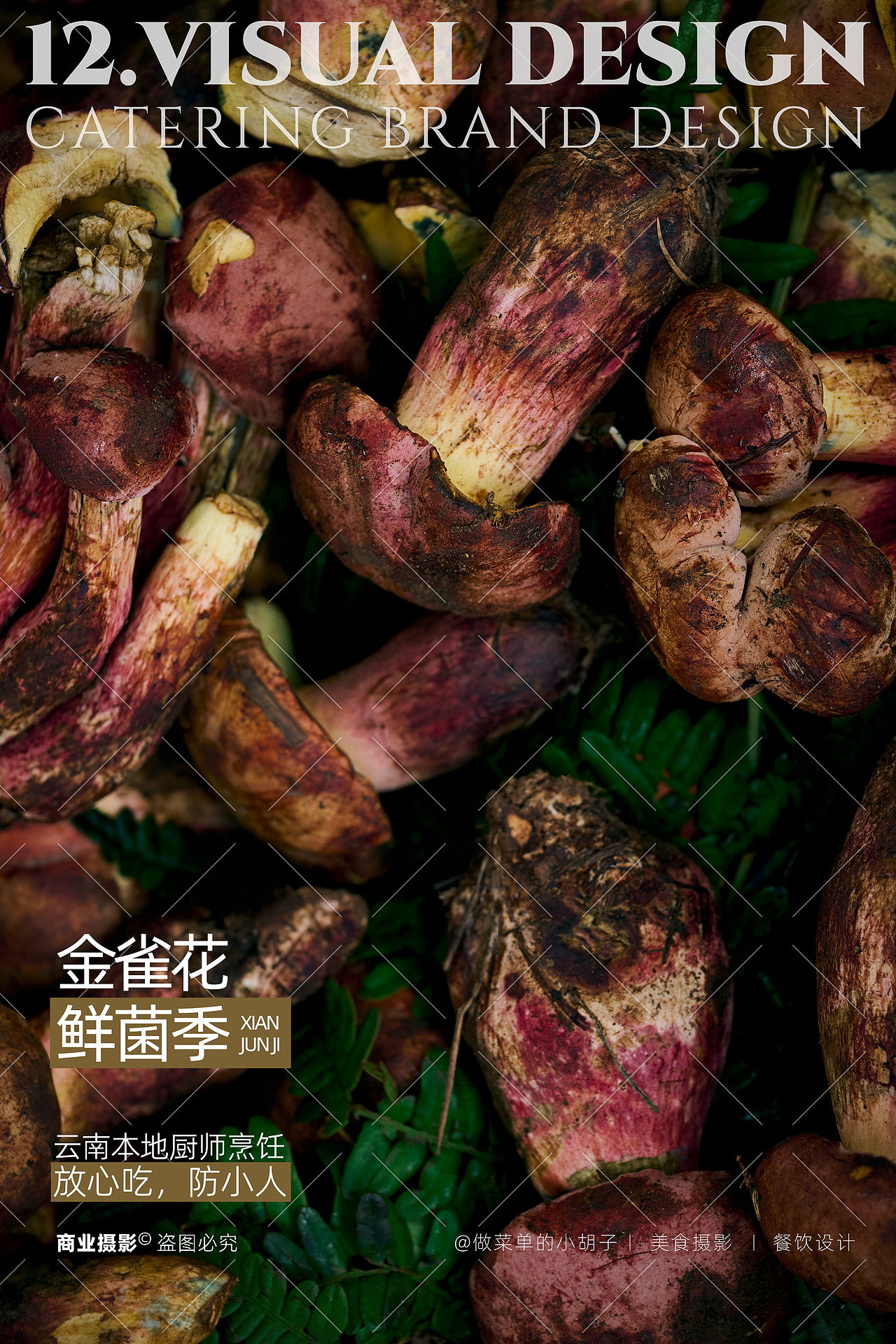 在洛阳,用灯光为云南野生菌「复刻」一场雨林幻境