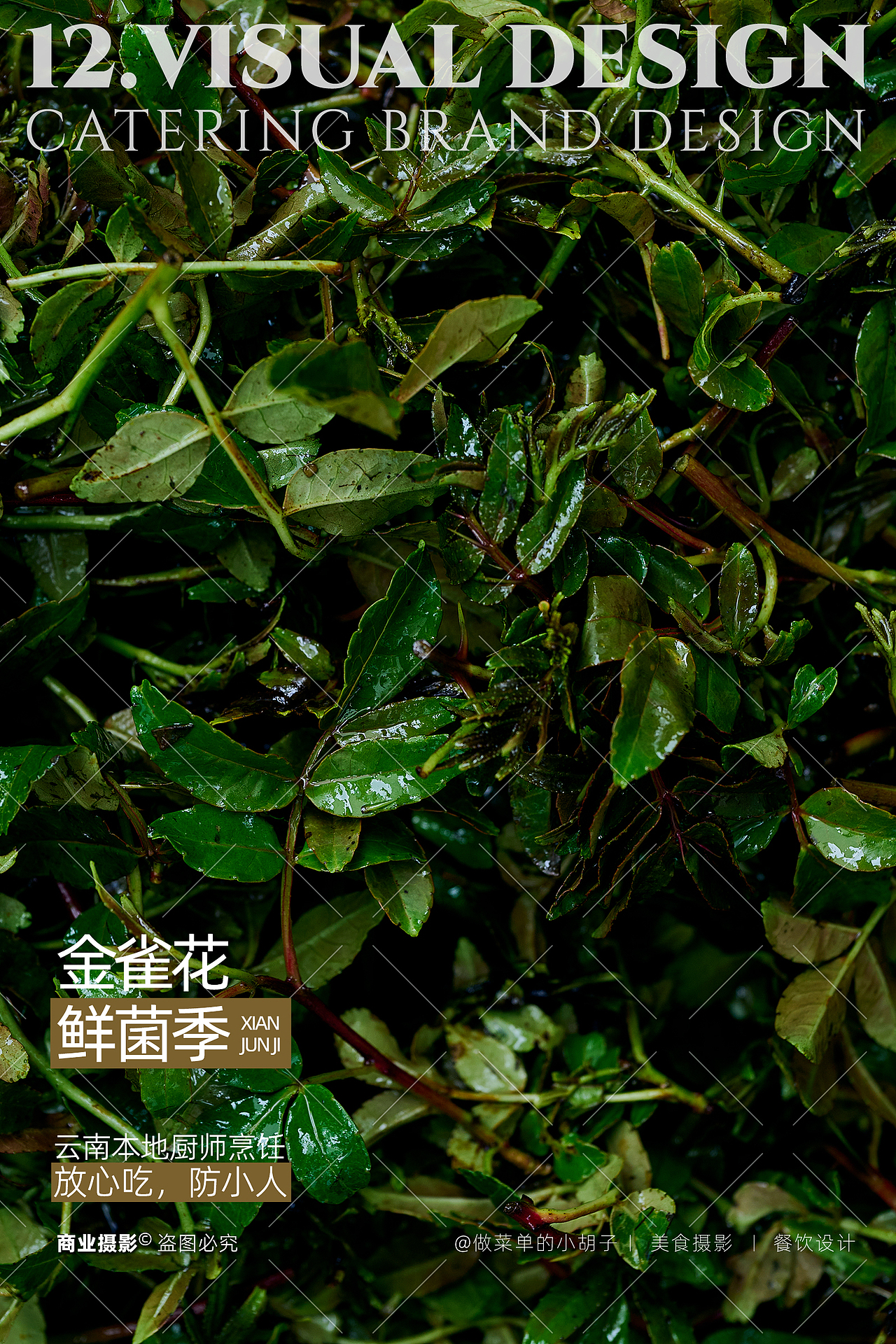 在洛阳,用灯光为云南野生菌「复刻」一场雨林幻境