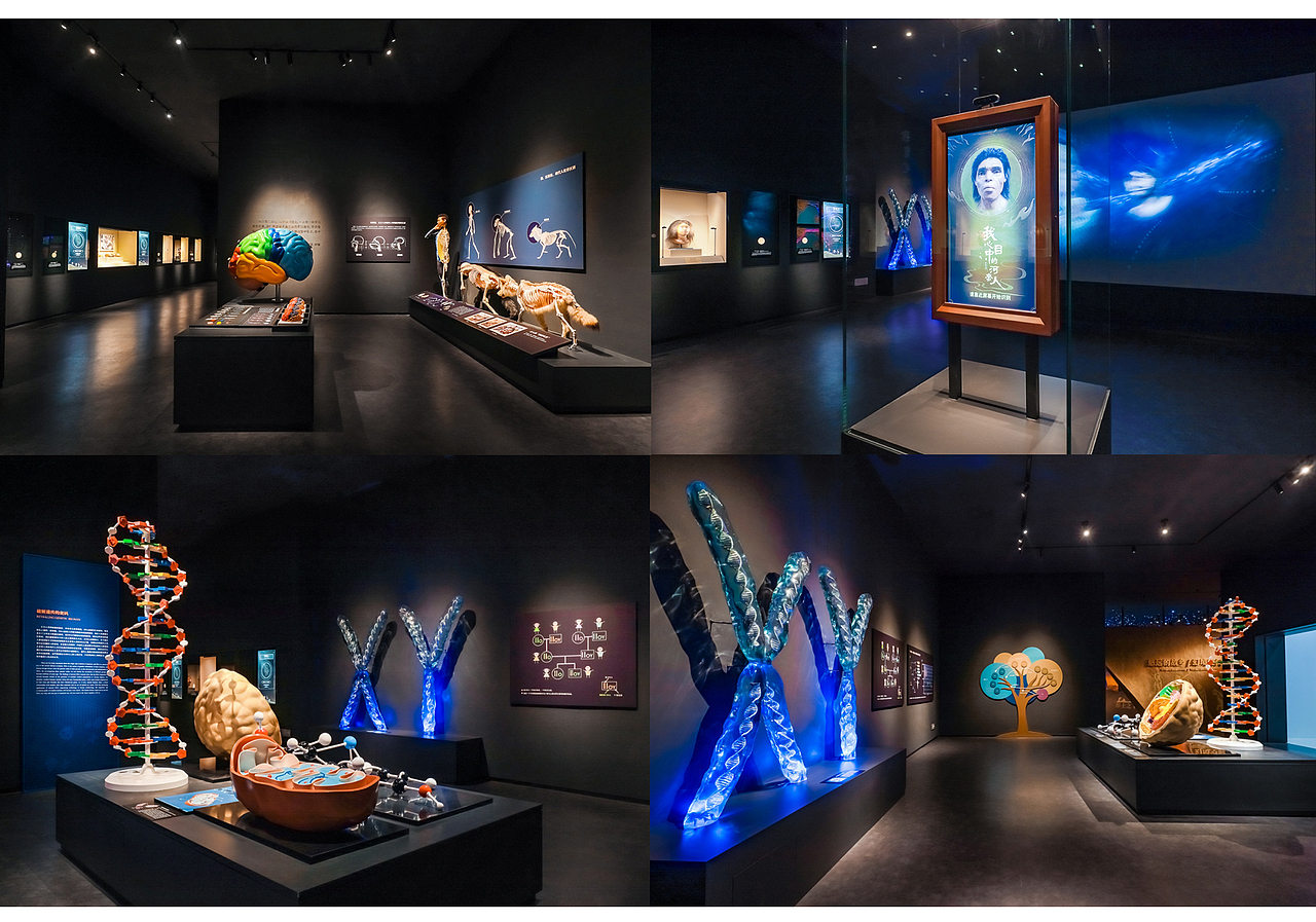 萨拉乌苏遗址博物馆（图ZMzkzMjQ4NDQ4） - 展陈设计 - 站酷设计师夏目友人12原创素材 - 站酷ZCOOL