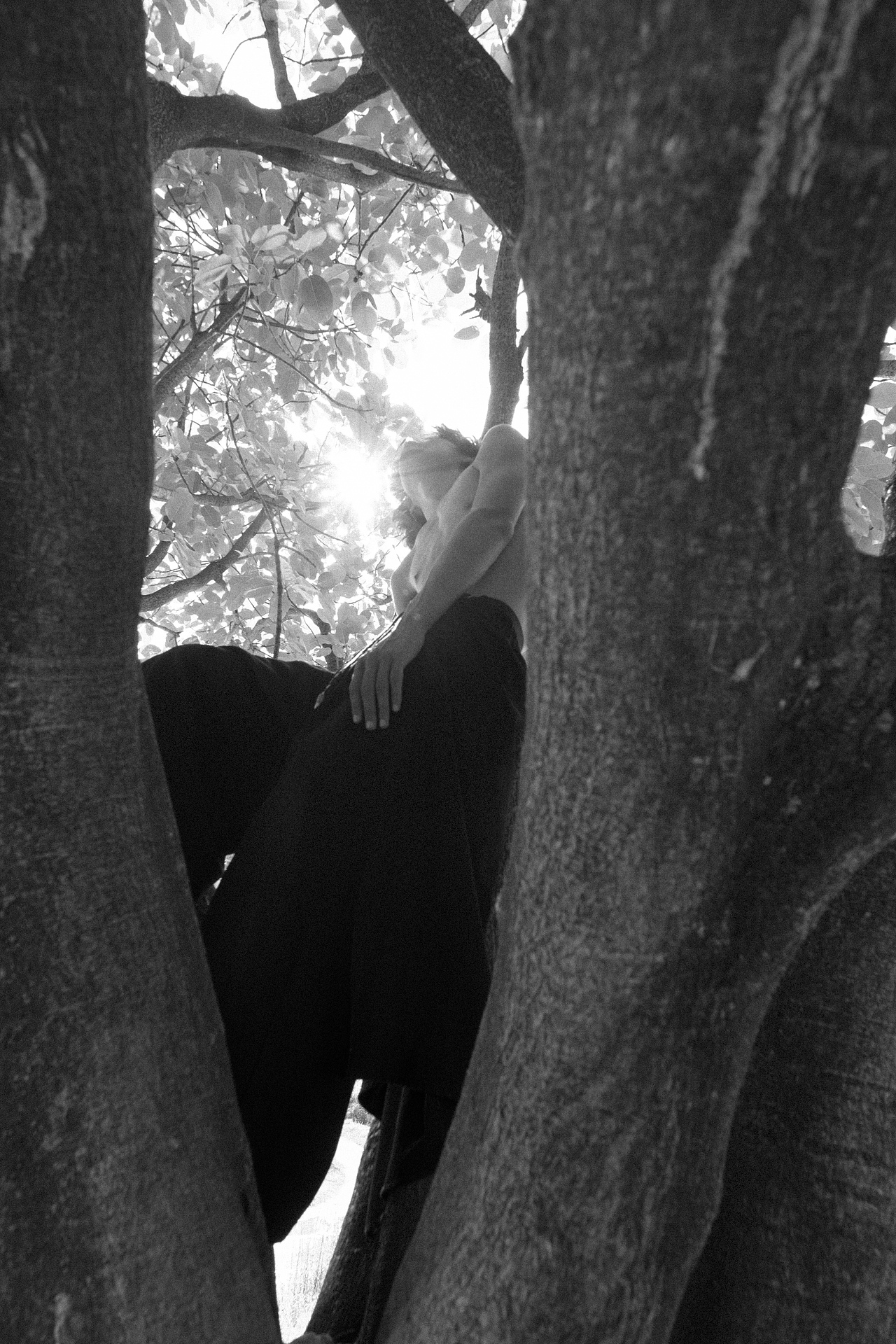 禁锢的田野会开出自由的花