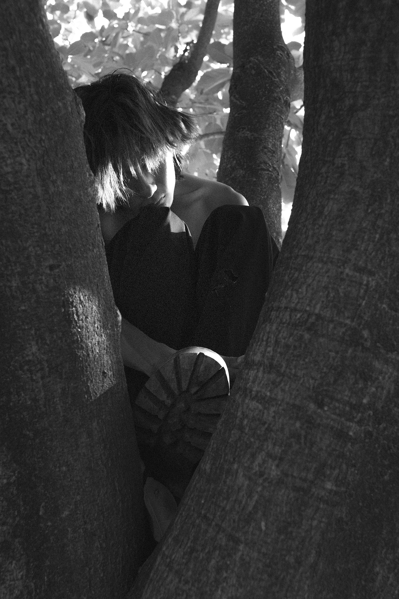 禁锢的田野会开出自由的花