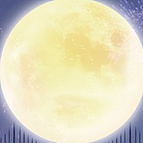 AMMAH的头像