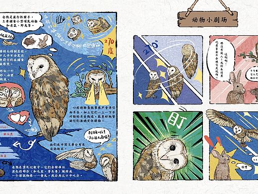 好玩的动物插图绘制