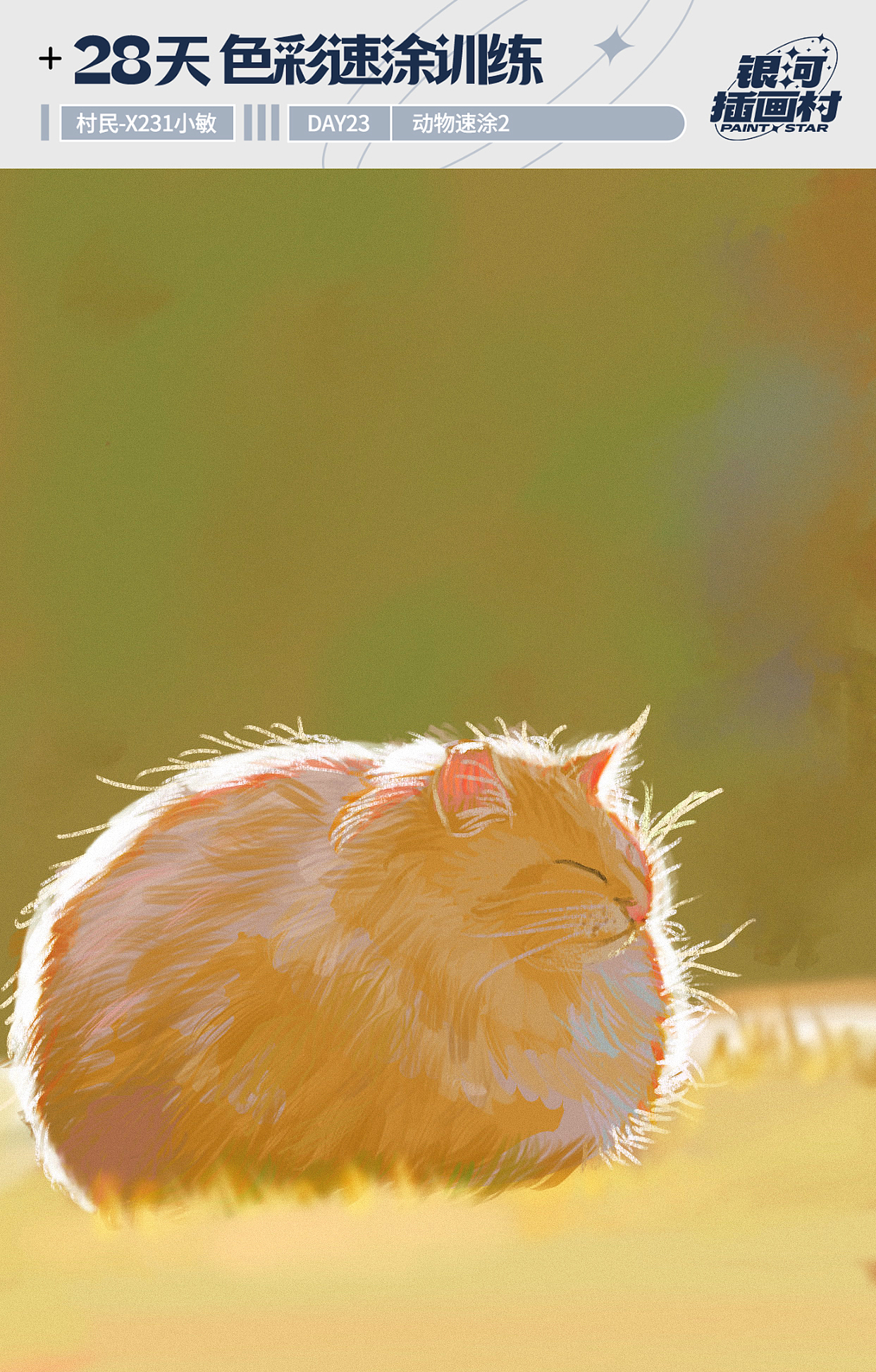 一些在蓝贵莲插画班学到的色彩速涂练习