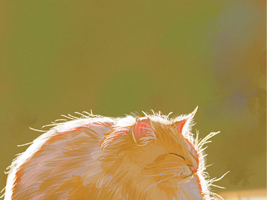 一些在蓝贵莲插画班学到的色彩速涂练习