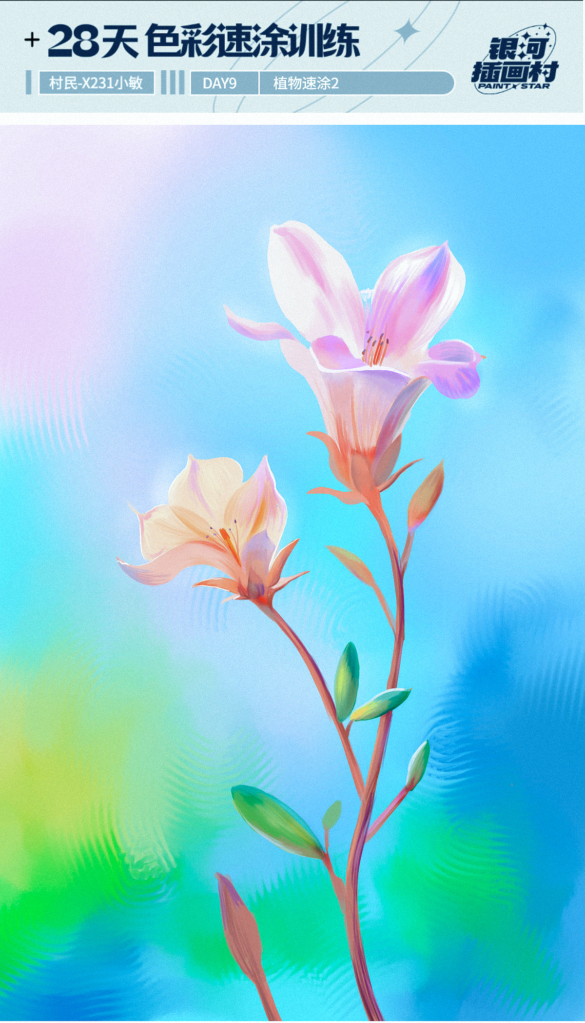 一些在蓝贵莲插画班学到的色彩速涂练习