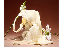 文胸創(chuàng)意拍攝+修片