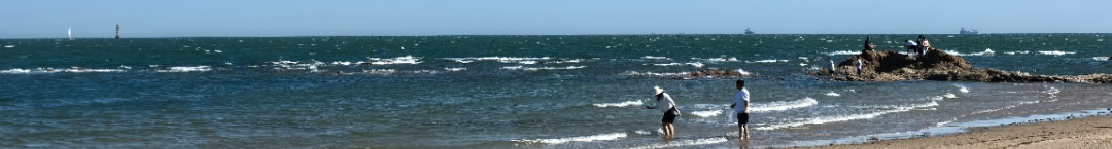 小甜菜菜酱的个人主页（封面预览） - 主页封面设置 - 站酷设计师小甜菜菜酱原创素材 - 站酷ZCOOL