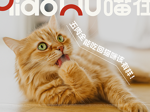 喵伍MEOW FIVE-猫粮品牌设计
