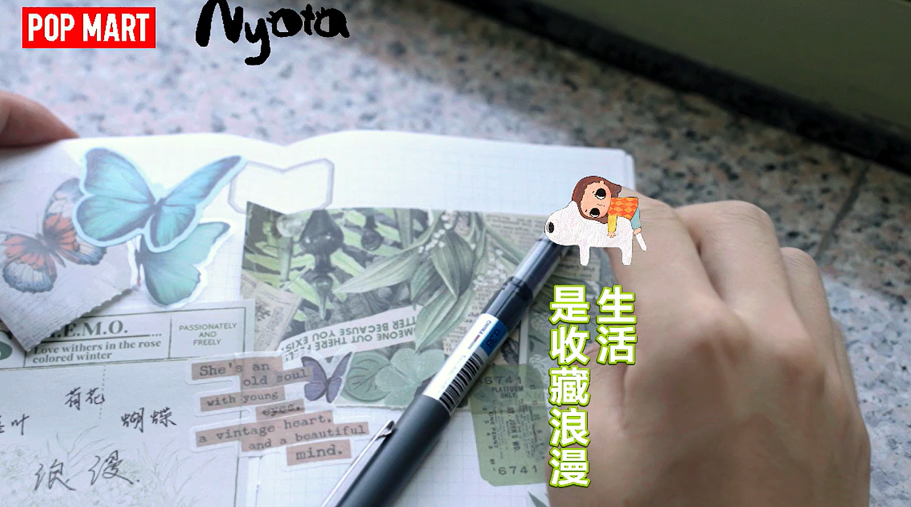 塔塔的蝴蝶日记