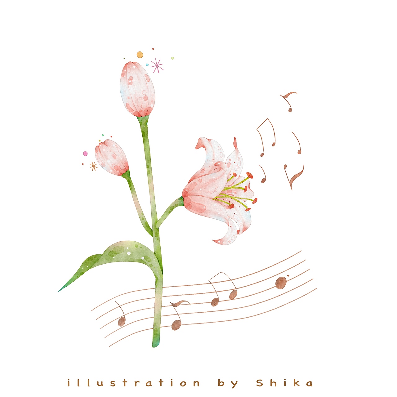 ipad畫畫丨水彩·花 開在太陽下（圖ZMzkzMzI1Mzky） - 創(chuàng)作習(xí)作 - 站酷設(shè)計師shikakaka原創(chuàng)素材 - 站酷ZCOOL