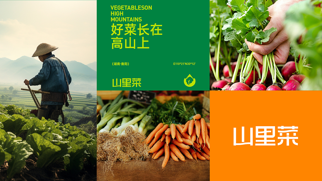 山里菜 | 蔬菜零售品牌全案设计（图ZMzkzMzI2NjA0） - 品牌 - 站酷设计师卡皮设计原创素材 - 站酷ZCOOL