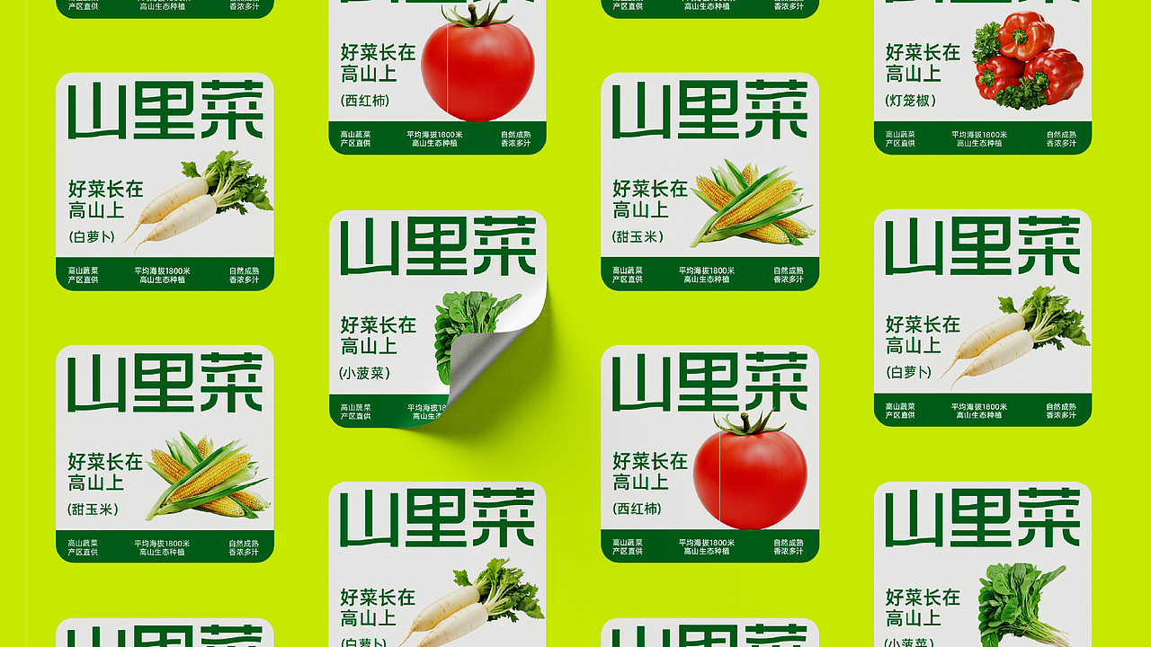 山里菜 | 蔬菜零售品牌全案设计（图ZMzkzMzI2NjIw） - 品牌 - 站酷设计师卡皮设计原创素材 - 站酷ZCOOL
