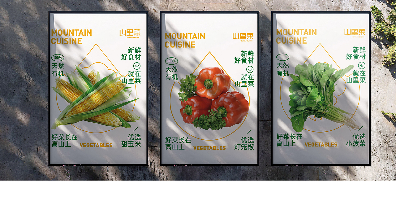 山里菜 | 蔬菜零售品牌全案设计（图ZMzkzMzI2NjQw） - 品牌 - 站酷设计师卡皮设计原创素材 - 站酷ZCOOL