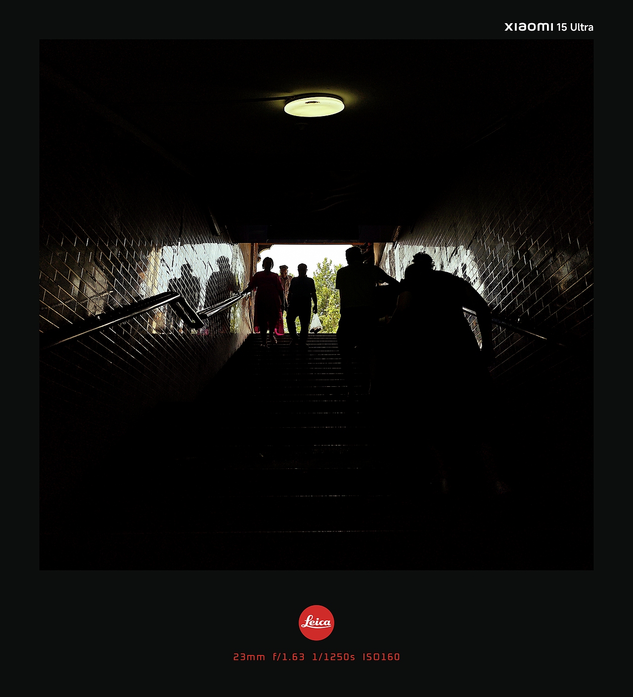 从帕米尔高原到草原人文纪实