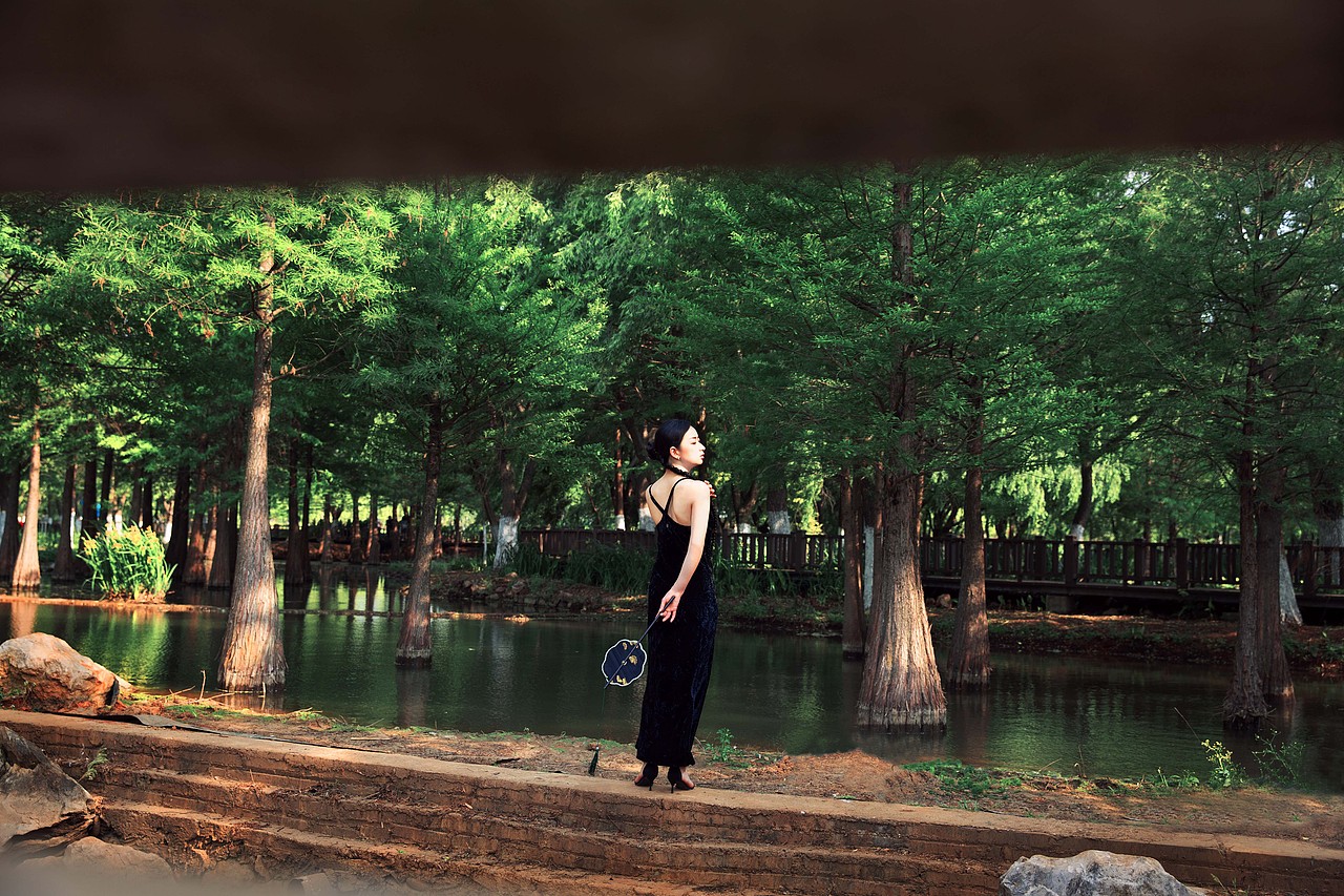 小扇引微凉,悠悠夏日长