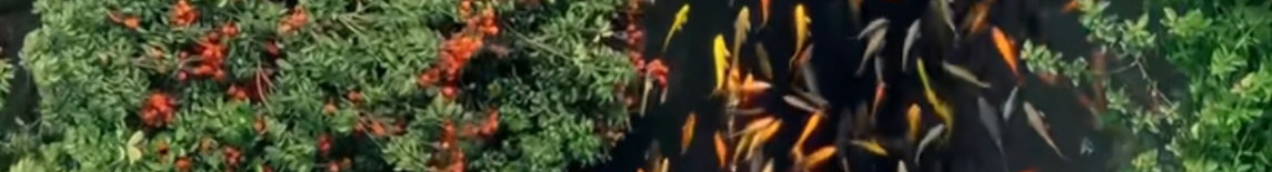 元心一朵9923的个人主页（封面预览） - 主页封面设置 - 站酷设计师元心一朵9923原创素材 - 站酷ZCOOL