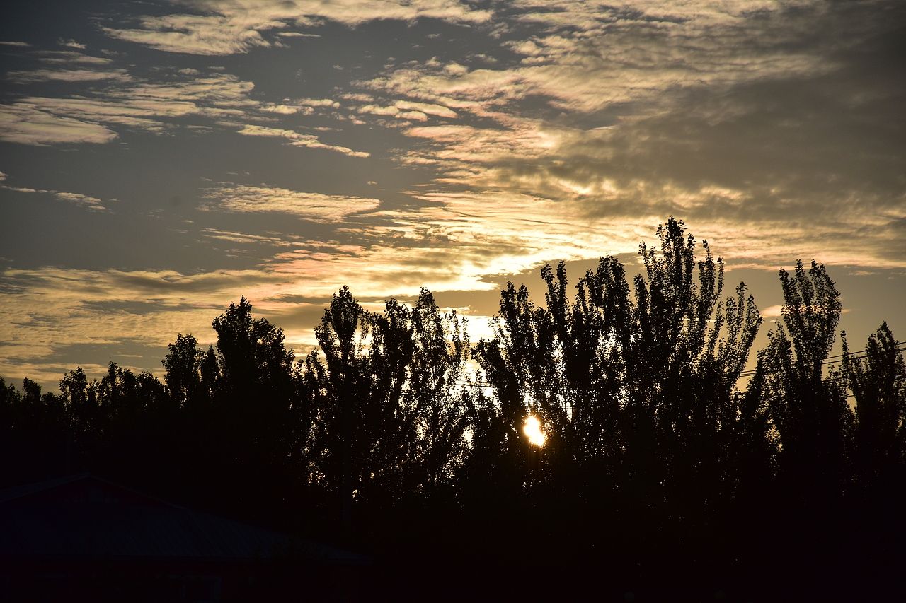 在乡间树林拍到了夕阳（图ZMzkzMzQxOTc2） - 风光摄影 - 站酷设计师冰城拾光者阿哲原创素材 - 站酷ZCOOL