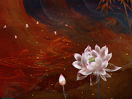 2025新荷花（卷帘/门帘）