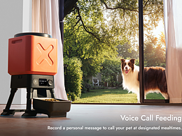 宠物商业摄影 | 中大狗投喂机