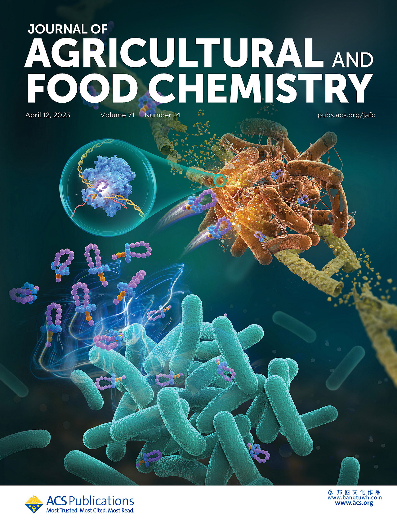 JAFC杂志封面汇总展示 邦图文化