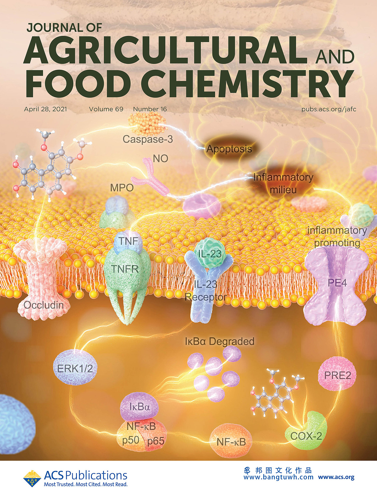 JAFC杂志封面汇总展示 邦图文化