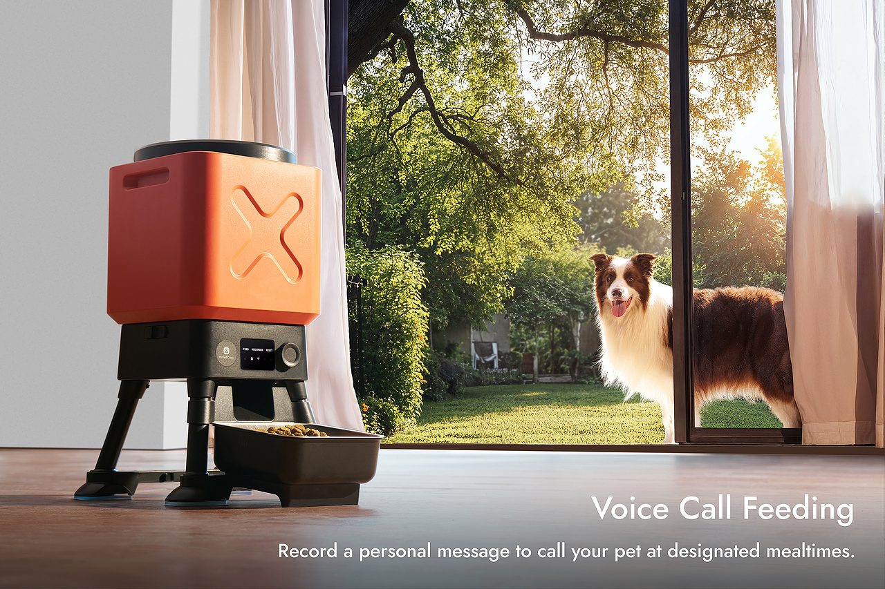 宠物商业摄影 | 中大狗投喂机（图ZMzkzMzY1Mjgw） - 产品摄影 - 站酷设计师王昌龙WangEthan原创素材 - 站酷ZCOOL