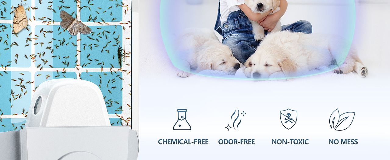 【誘蚊燈卡片】亞馬遜套圖 —— 2024（圖ZMzkzMzY3ODM2） - 其他平面 - 站酷設(shè)計(jì)師沙場(chǎng)秋點(diǎn)彭計(jì)師原創(chuàng)素材 - 站酷ZCOOL