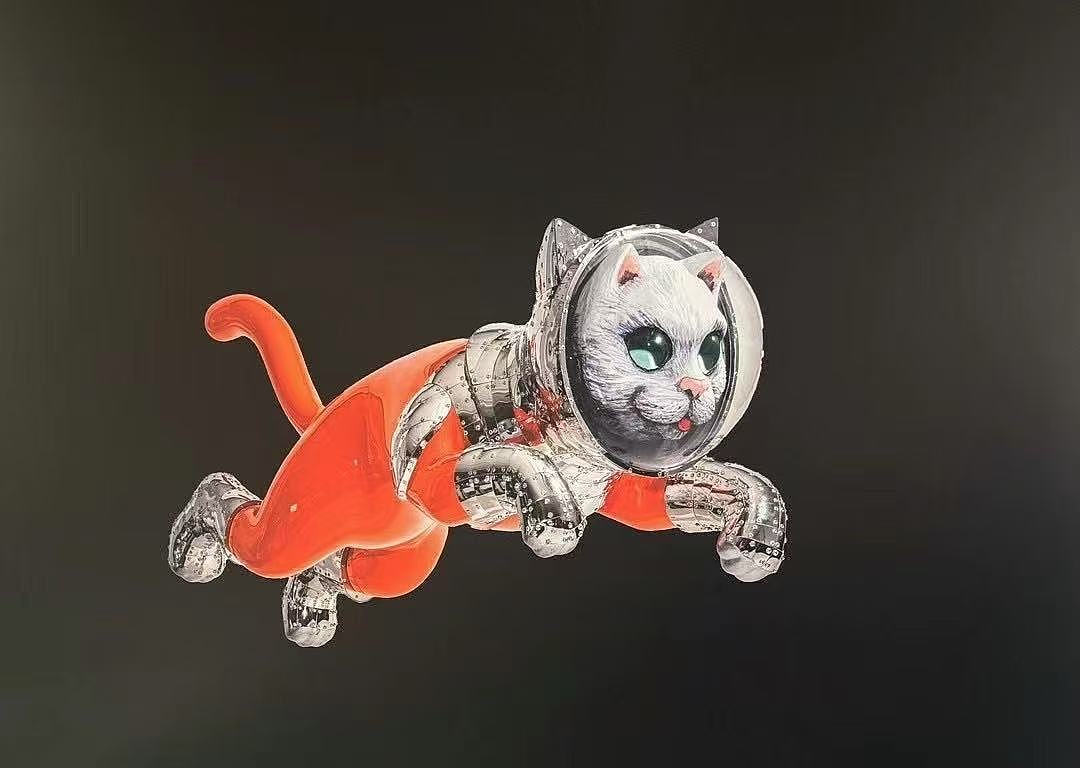 25类 我的猫会飞