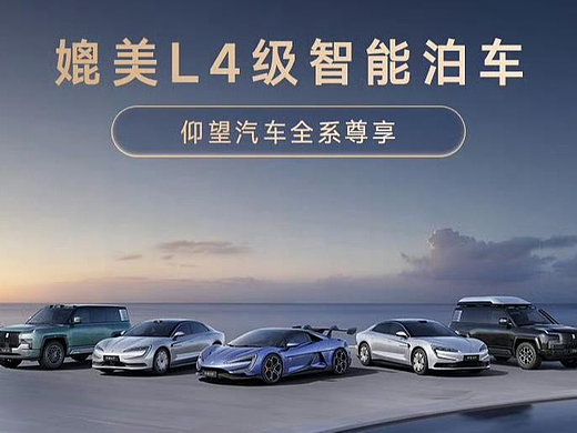 仰望汽车天神之眼A全面升级 智能泊车全兜底