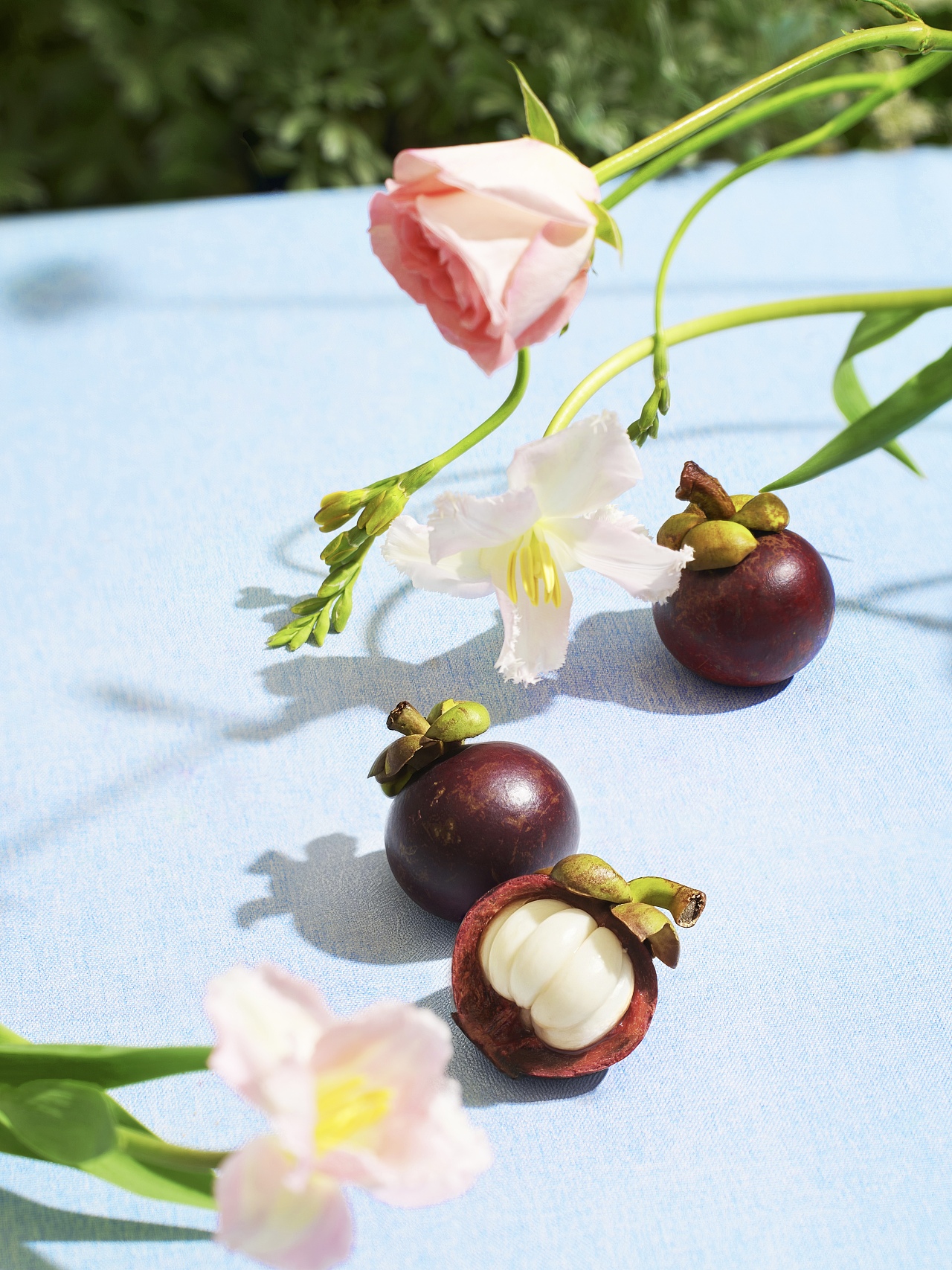 gaga鲜语×春生生画｜花馔、鲜花和春天（图ZMzkzNDE1NDI0） - 时尚/艺术摄影 - 站酷设计师春生生画原创素材 - 站酷ZCOOL