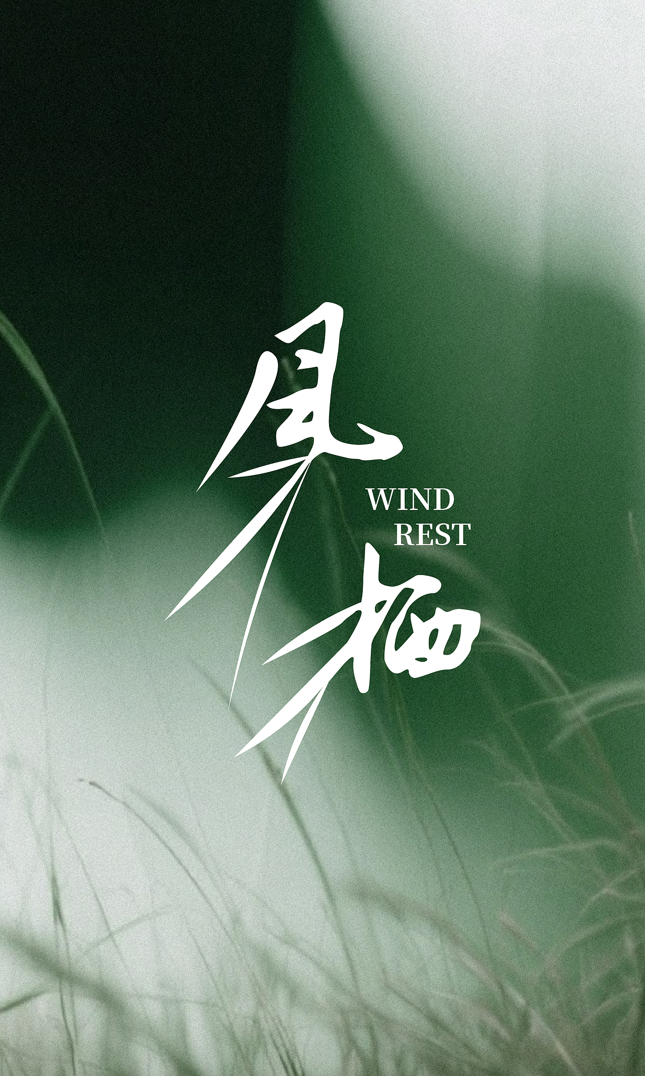 「风栖 」栖,是风与肌肤的默契。