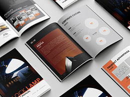 照明行业画册设计