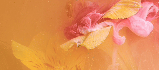 一平米博物馆|一场科学艺术疗愈之旅