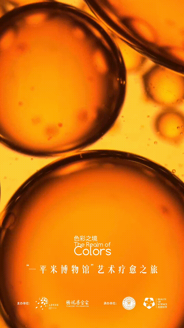 一平米博物馆|一场科学艺术疗愈之旅