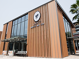 【LADY7】品牌形象升級改造