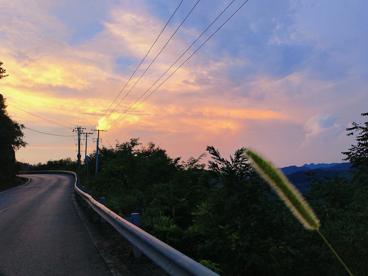 熔金缎带:乡野暮色中的共生时刻