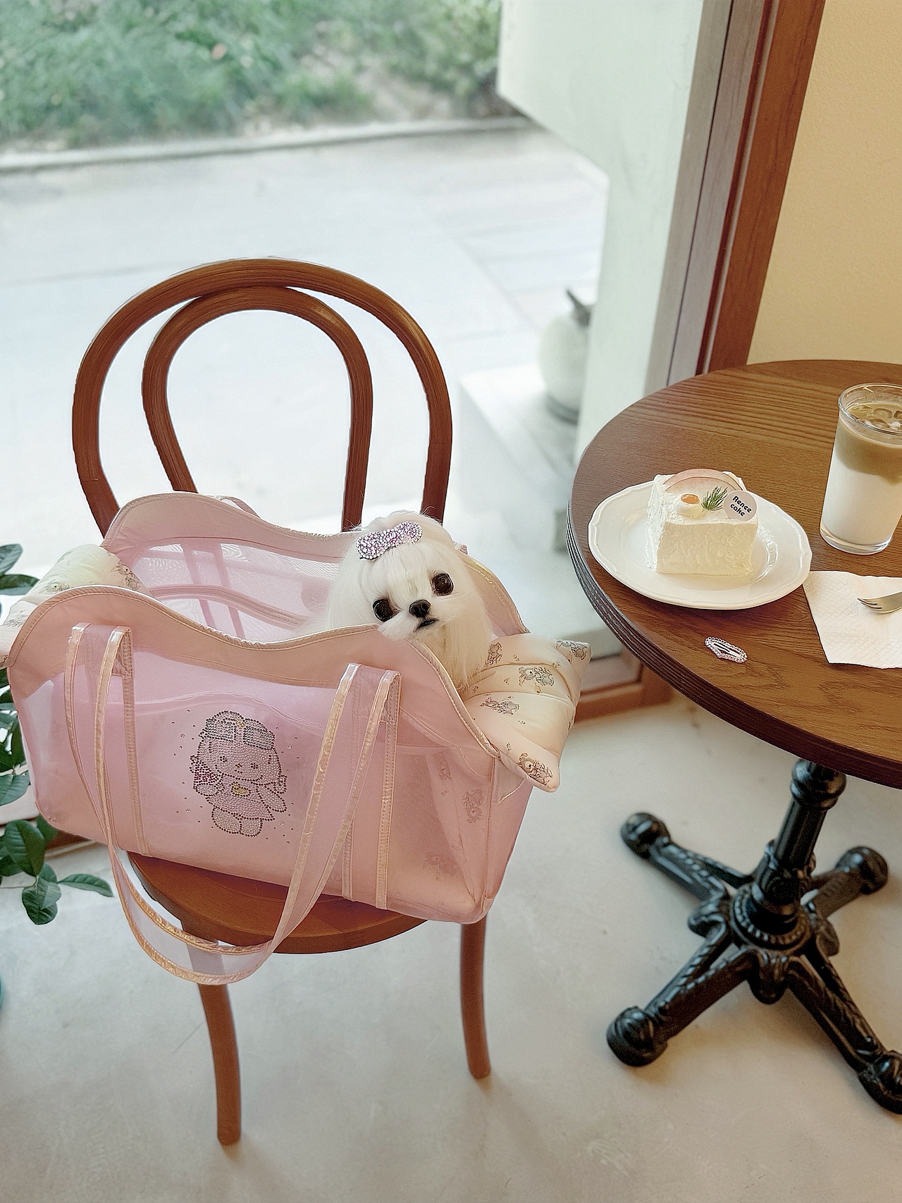 BEIKI马尔济斯网纱宠物外出包