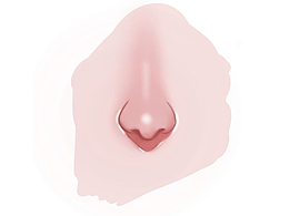 鼻子