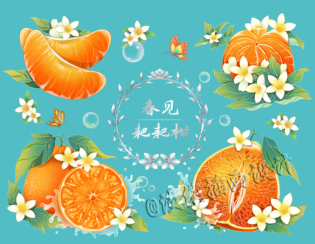 水果系列包装插画 合集